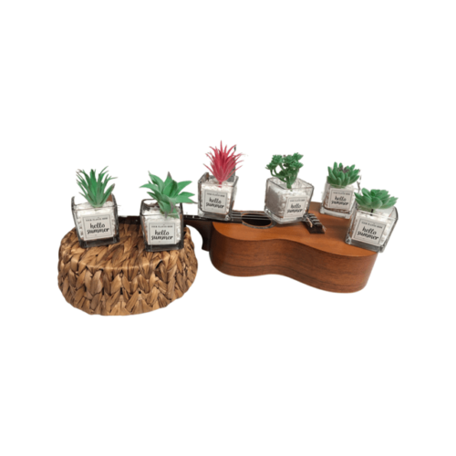 Salt Lake Desert Artificial Mini Potted Succulent Plants in Glass Pots