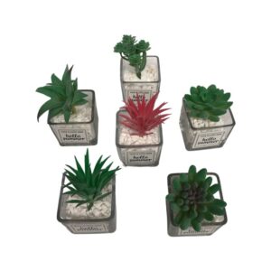 Salt Lake Desert Artificial Mini Potted Succulent Plants in Glass Pots