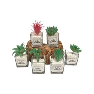 Salt Lake Desert Artificial Mini Potted Succulent Plants in Glass Pots