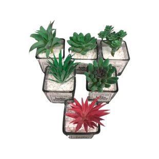 Salt Lake Desert Artificial Mini Potted Succulent Plants in Glass Pots
