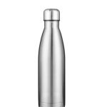 17oz Stainless Steel Water Bottle Triple-Insulated Silver