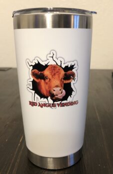 Customizable 20oz Insulated Vacuum Sealed Tumbler photo review