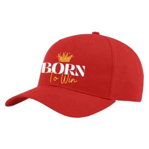 Born To Win Embroidered Hat