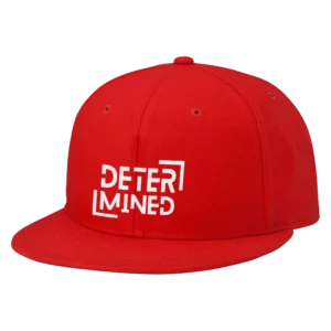 Determined Embroidered Hat