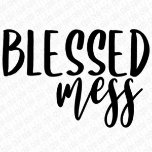 Blessed Mess - DTF Transfer