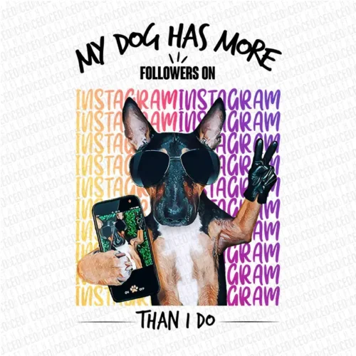 My Dog Has More Followers On Instagram Than I Do - DTF Transfer