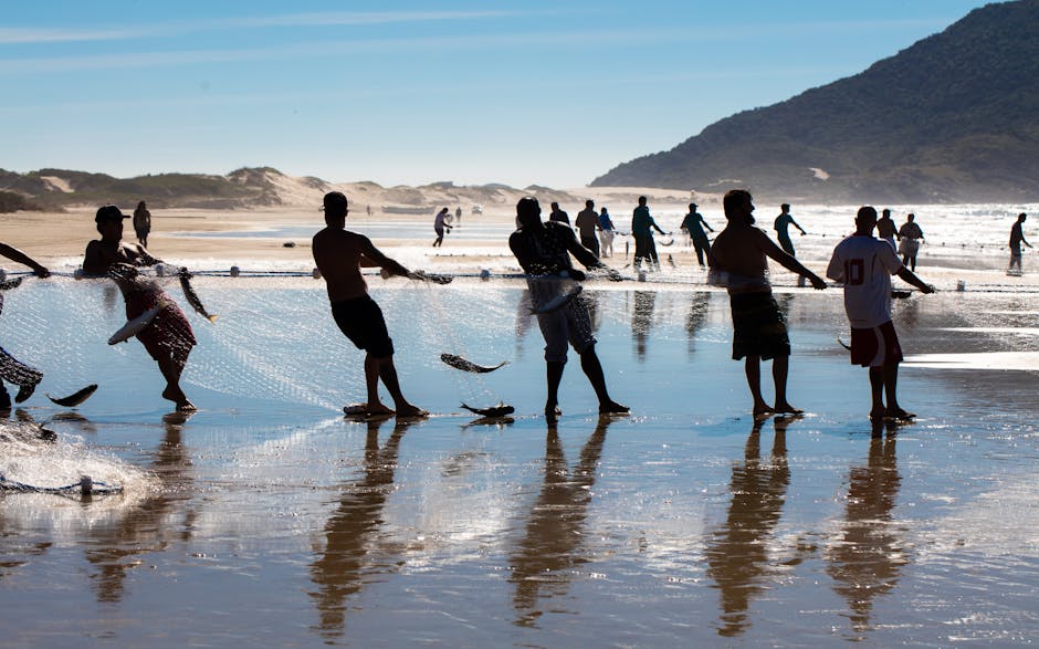 Fishermen on the beach pulling net with fish.