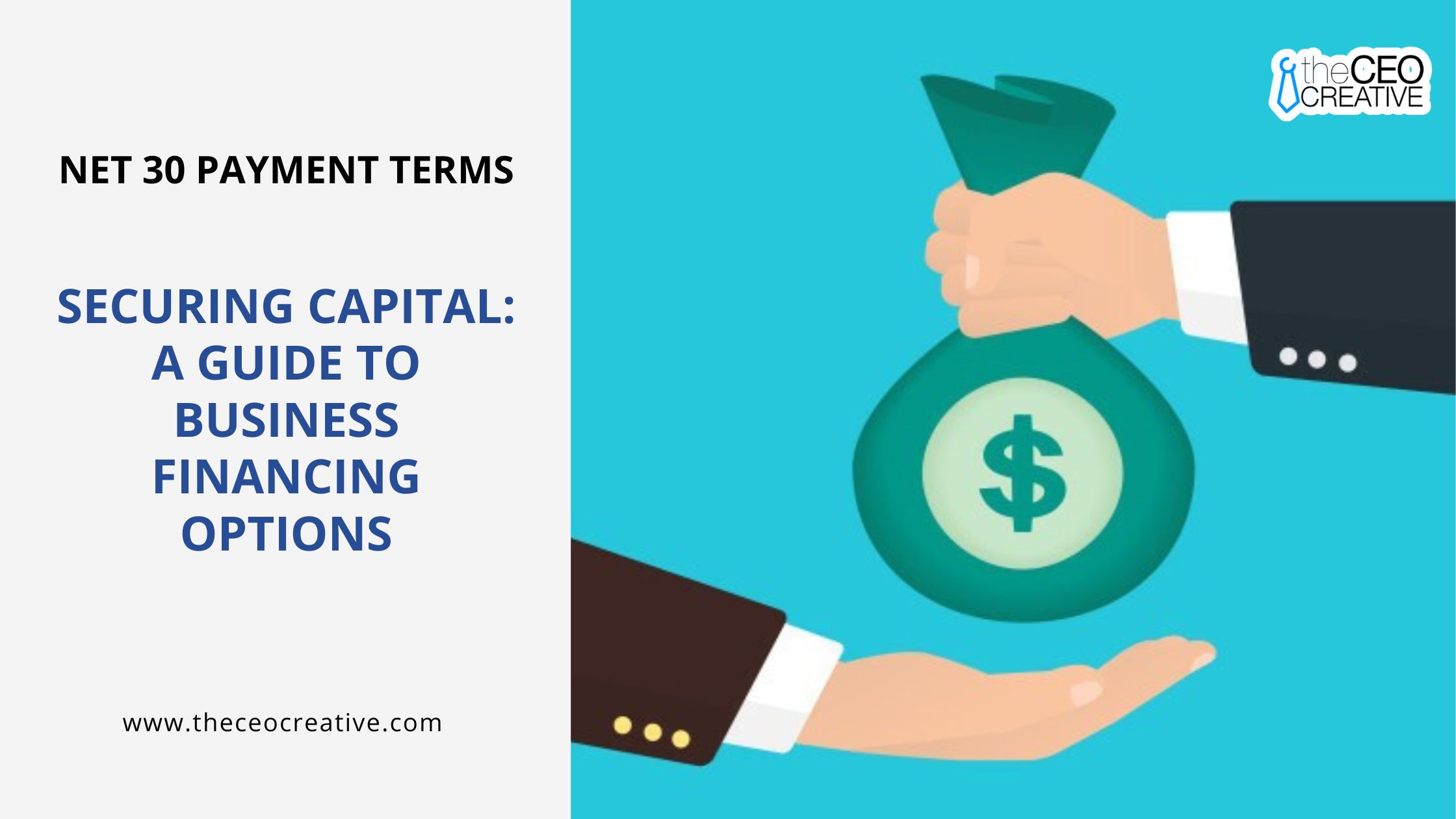 Business Financing Options [A Guide to Securing Capital]