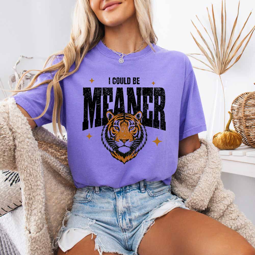 I Could Be Meaner Shirt - Retro Y2K Tiger - DTF Transfer model