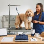 Net 30 Accounts for Pet Groomers to Build Business Credit